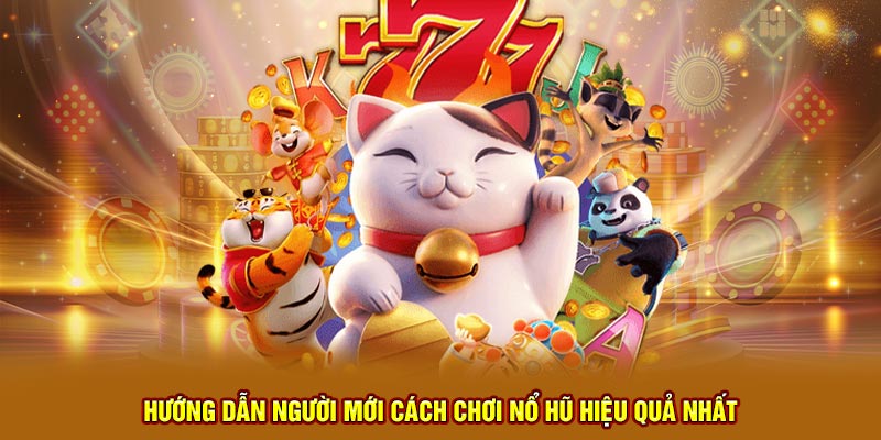 Hướng dẫn người mới cách chơi nổ hũ hiệu quả nhất